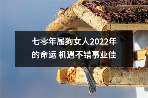 七零年属狗女人2025年的命运机遇不错事业佳