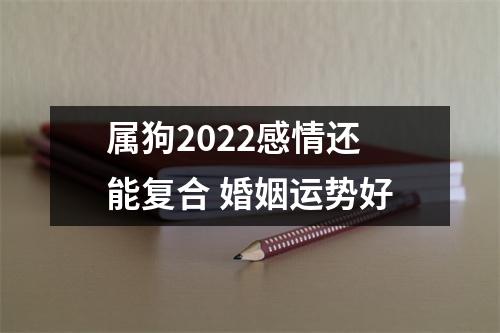 属狗2025感情还能复合婚姻运势好