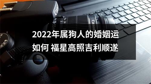 <h3>2025年属狗人的婚姻运如何福星高照吉利顺遂