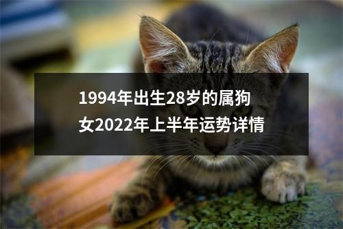 1994年出生28岁的属狗女2025年上半年运势详情