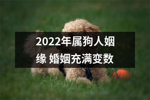 2025年属狗人姻缘婚姻充满变数