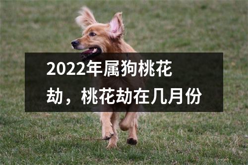 2025年属狗桃花劫，桃花劫在几月份