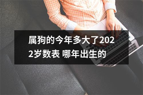 属狗的今年多大了2025岁数表哪年出生的