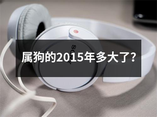 属狗的2015年多大了？