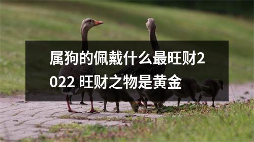 <h3>属狗的佩戴什么旺财2025旺财之物是黄金