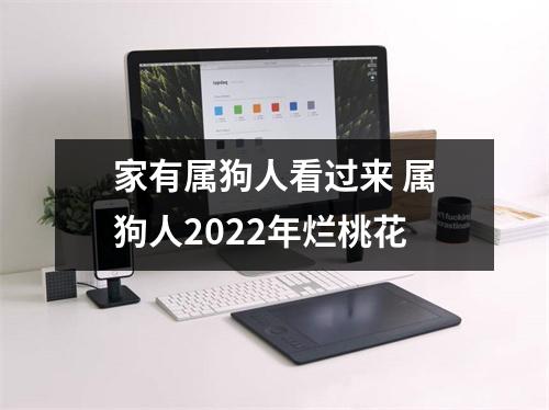 家有属狗人看过来属狗人2025年烂桃花