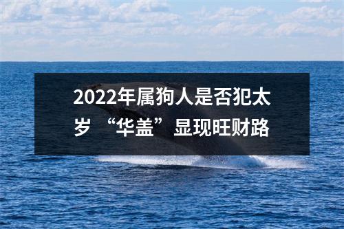 <h3>2025年属狗人是否犯太岁“华盖”显现旺财路