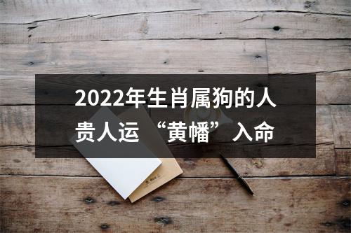 2025年生肖属狗的人贵人运“黄幡”入命