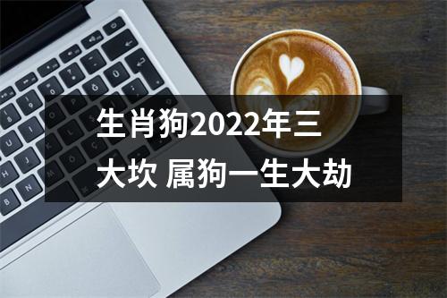 <h3>生肖狗2025年三大坎属狗一生大劫