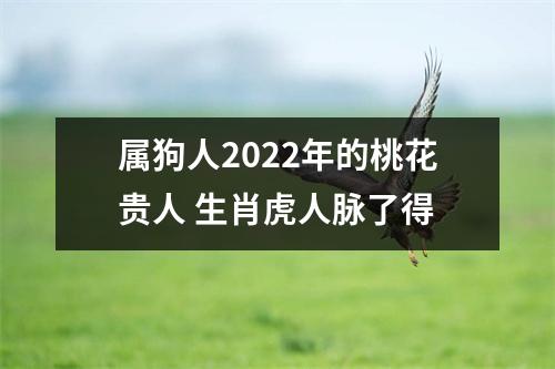 属狗人2025年的桃花贵人生肖虎人脉了得