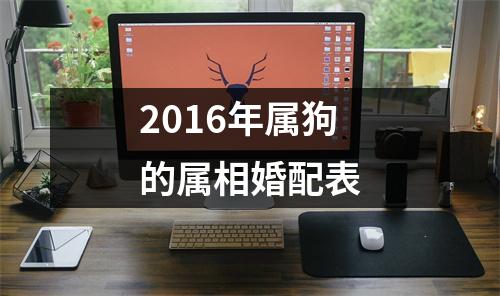 2016年属狗的属相婚配表