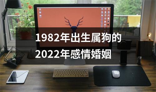 1982年出生属狗的2025年感情婚姻