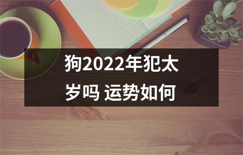 狗2022年犯太岁吗运势如何