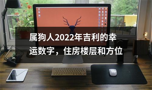 属狗人2022年吉利的幸运数字，住房楼层和方位