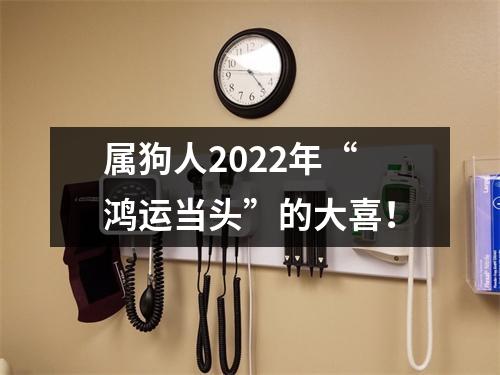 属狗人2022年“鸿运当头”的大喜！