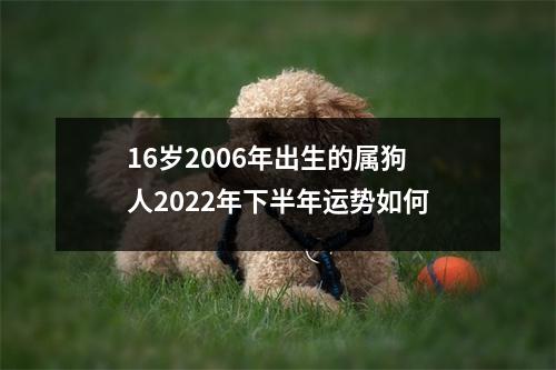 16岁2006年出生的属狗人2025年下半年运势如何