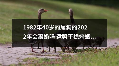 1982年40岁的属狗的2025年会离婚吗运势平稳婚姻美满