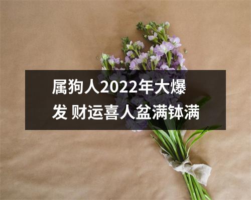 属狗人2025年大爆发财运喜人盆满钵满