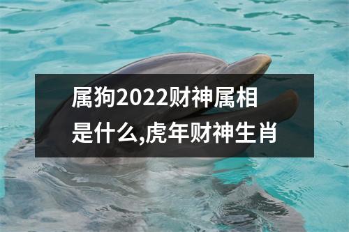 <h3>属狗2025财神属相是什么,虎年财神生肖