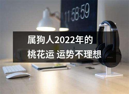 属狗人2025年的桃花运运势不理想