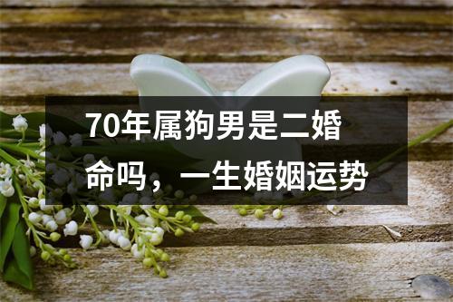 70年属狗男是二婚命吗，一生婚姻运势