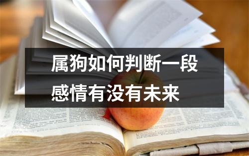 属狗如何判断一段感情有没有未来