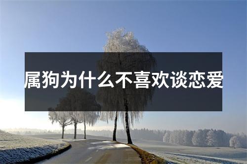 属狗为什么不喜欢谈恋爱