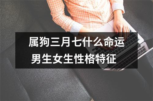 属狗三月七什么命运男生女生性格特征