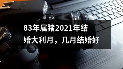 <h3>83年属猪2025年结婚大利月，几月结婚好