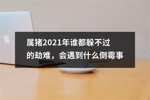 <h3>属猪2025年谁都躲不过的劫难，会遇到什么倒霉事