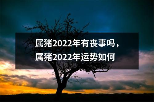 属猪2022年有丧事吗，属猪2022年运势如何