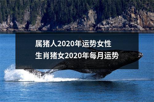 属猪人2020年运势女性生肖猪女2020年每月运势