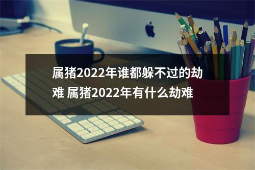 属猪2022年谁都躲不过的劫难属猪2022年有什么劫难