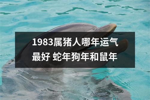 1983属猪人哪年运气好蛇年狗年和鼠年