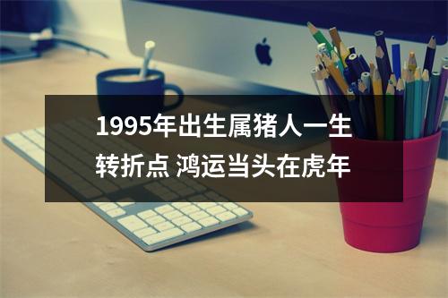 1995年出生属猪人一生转折点鸿运当头在虎年