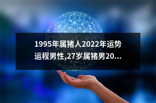 <h3>1995年属猪人2025年运势运程男性,27岁属猪男2025年每月运程