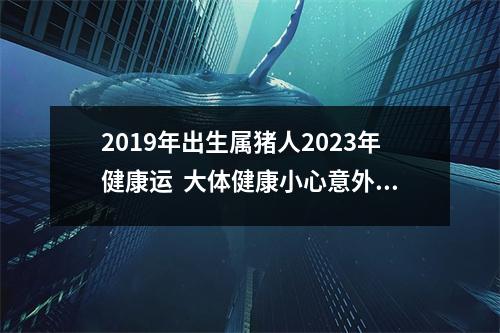 2019年出生属猪人2025年健康运大体健康小心意外事故