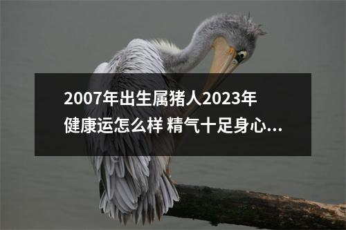 2007年出生属猪人2025年健康运怎么样精气十足身心康健