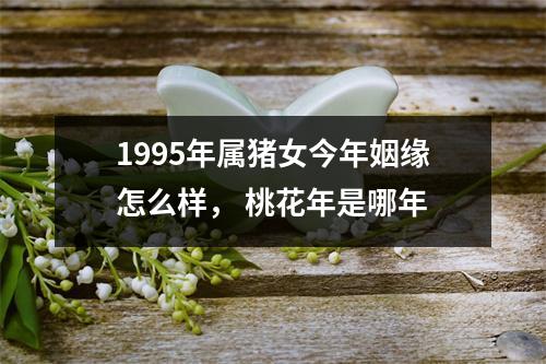 1995年属猪女今年姻缘怎么样，桃花年是哪年