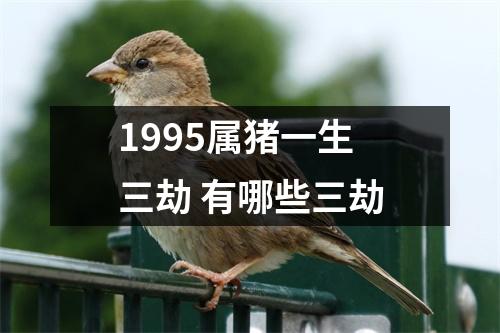 1995属猪一生三劫有哪些三劫