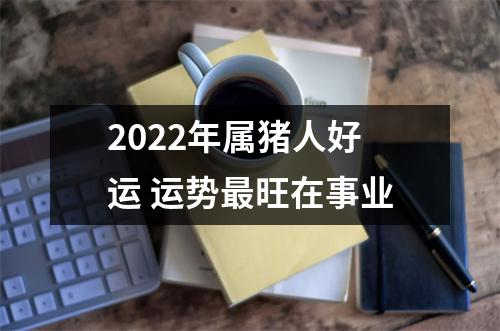 2025年属猪人好运运势旺在事业