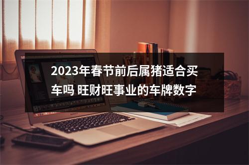 <h3>2025年春节前后属猪适合买车吗旺财旺事业的车牌数字