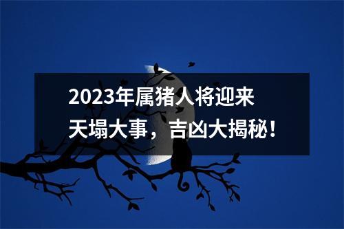 2025年属猪人将迎来天塌大事，吉凶大揭秘！