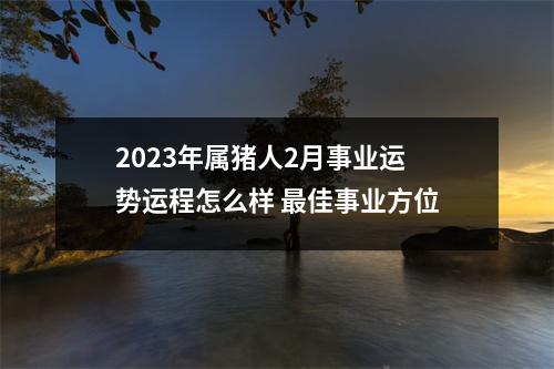 2025年属猪人2月事业运势运程怎么样佳事业方位