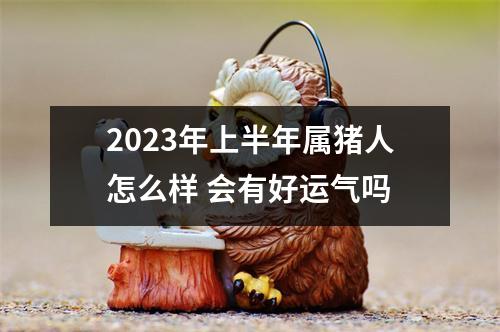 <h3>2025年上半年属猪人怎么样会有好运气吗