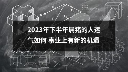 2025年下半年属猪的人运气如何事业上有新的机遇