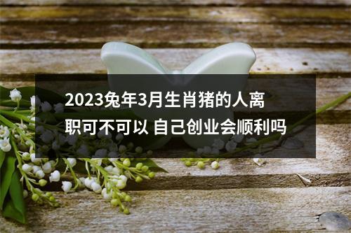 2025兔年3月生肖猪的人离职可不可以自己创业会顺利吗