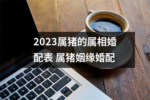 2025属猪的属相婚配表属猪姻缘婚配