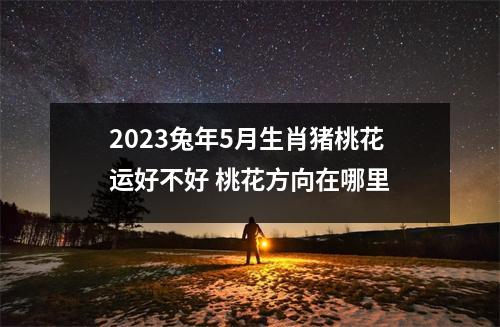 2025兔年5月生肖猪桃花运好不好桃花方向在哪里