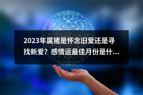 2025年属猪是怀念旧爱还是寻找新爱？感情运佳月份是什么时候